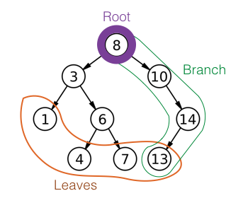 Roots, trees, and branches are the basic parts of a tree data structure.