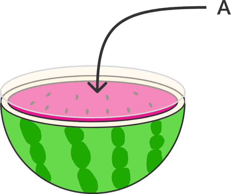 Surface area of a sphere brilliant math science wiki