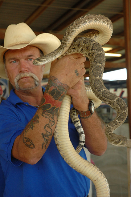 Snake handling, including "snake kissing" and "snake sacking" competitions, are popular in some parts of the United States. These practices explain why so many snake bites occur on the arms and face, while relatively few involve the legs or feet. 