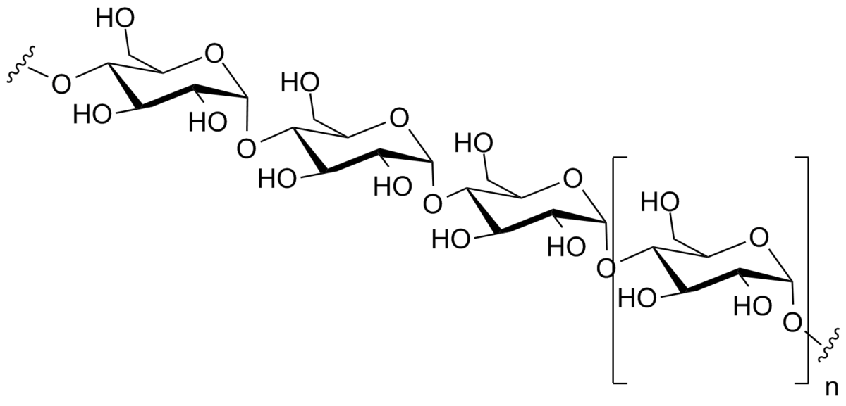 Starch, a 1,4 alpha-linked glucose polymer. Public Domain Image.