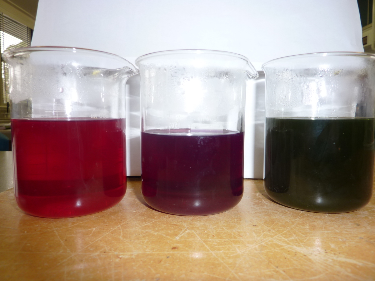 Red cabbage indicators in acidic (red), neutral (purple), and basic (green) media. Photo by Flickr user brittgow