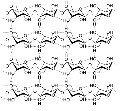 A small change in the structure of the glucose chains--beta linkages--completely changes their function.