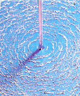 Magnetic Field Lines | Brilliant Math & Science Wiki