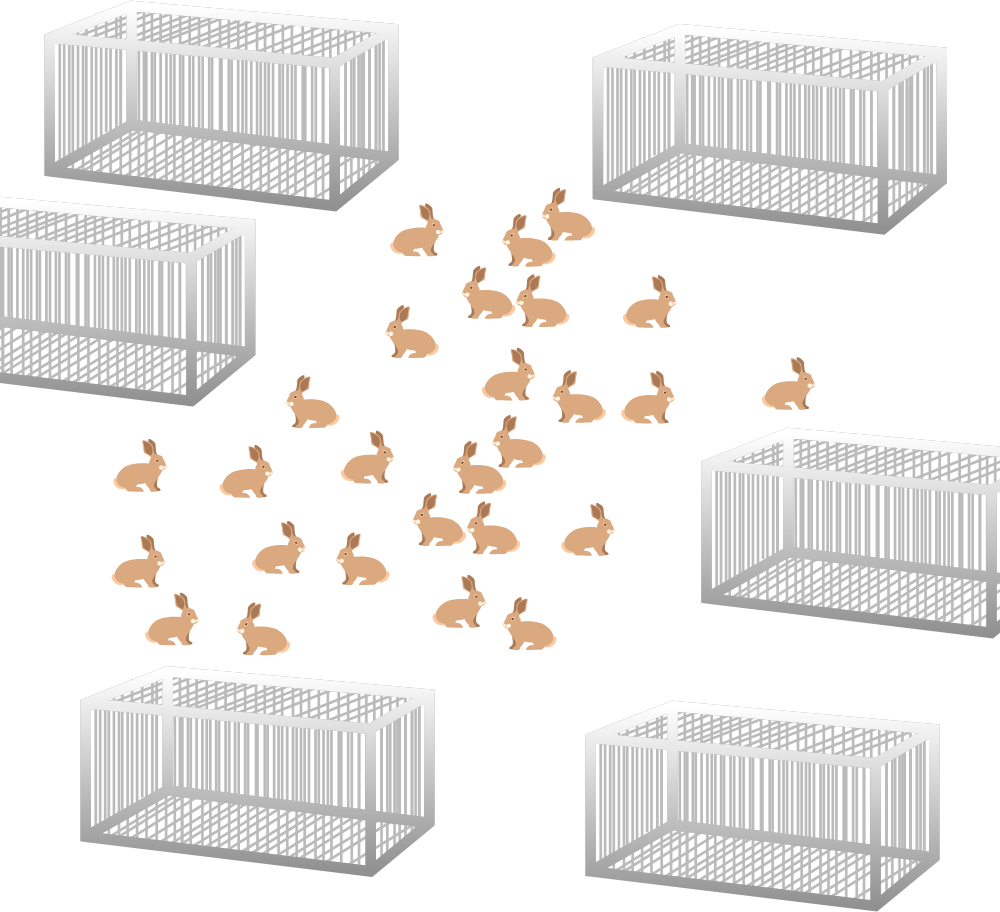 Algebra Problem Rabbits and cages A Former Brilliant Member Brilliant
