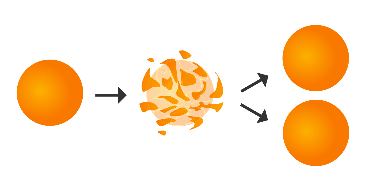 The Banach-Tarski paradox, in which a ball can be rearranged into two balls of the same size as the original, is a counterintuitive consequence of the axiom of choice.