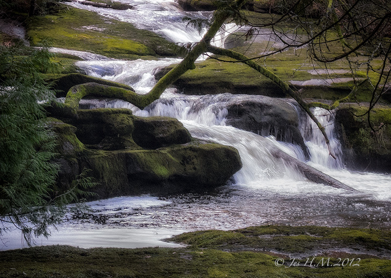 'The Brook' by Alfred Lord Tennyson (18091892) Satvik Golechha