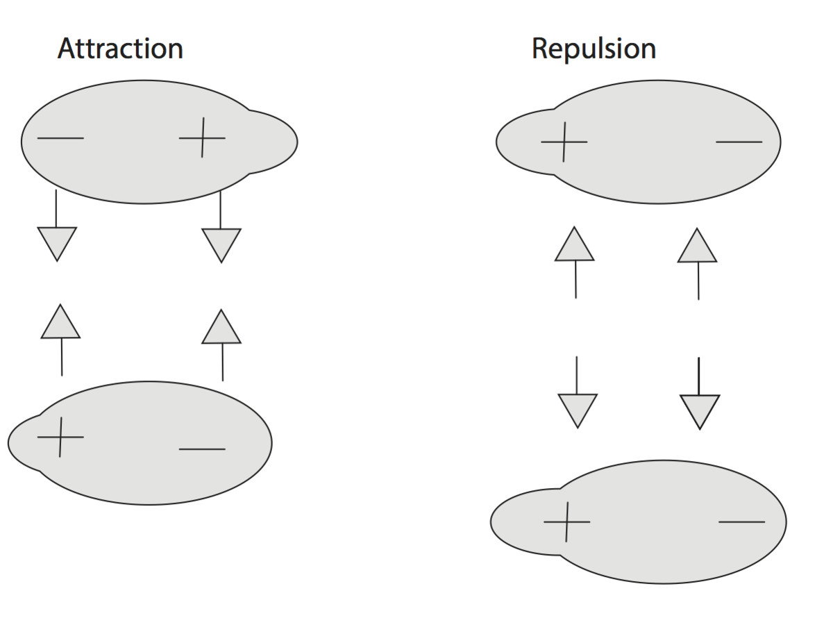 In dipole interactions, opposites attract.