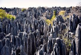 Limestone karst in Tsingy de Bemaraha National Park, Madagascar