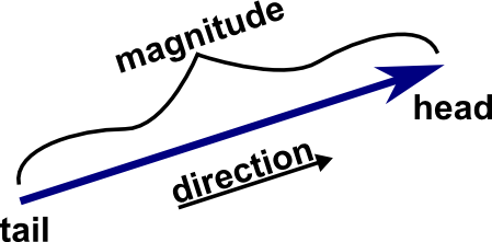 A typical representation of a vector