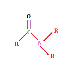 amide group