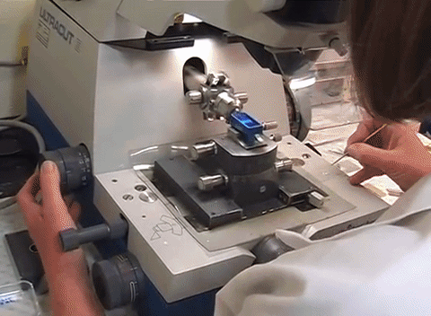 A diamond blade is used to prepare thin sections for microscopy