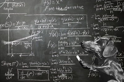 Professor Dog, circa 2007