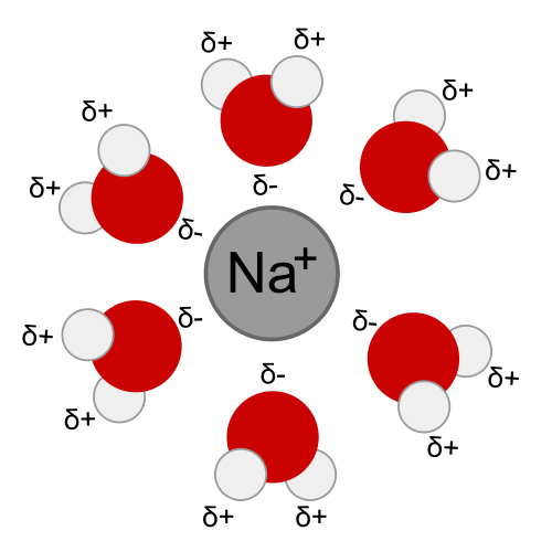 ion dipole interactions brilliant math science wiki