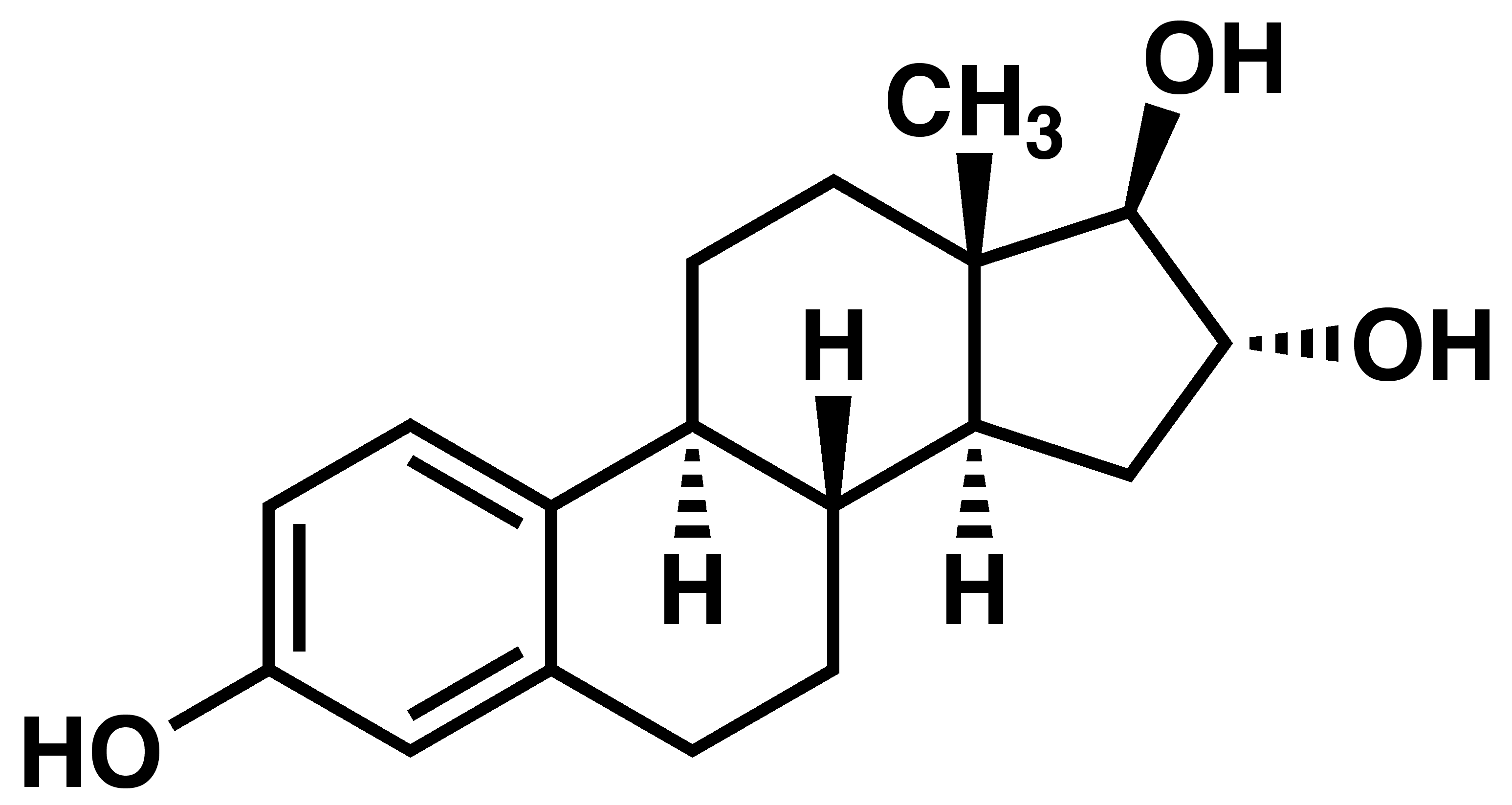 Estrogen