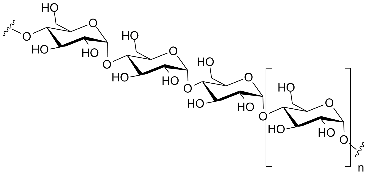 Starch, a 1,4 alpha-linked glucose polymer. Public Domain Image.