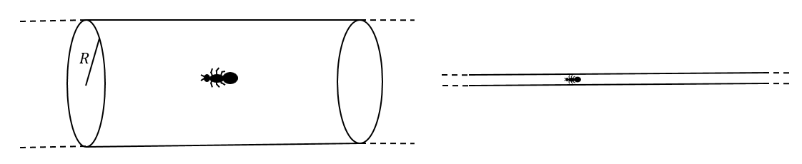 On short distance scales, the ant's world is two-dimensional; from far away, the ant barely moves in the compact direction before returning to the same place, so the ant's world seems one-dimensional.