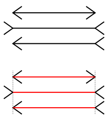 The Müller-Lyer line illusion