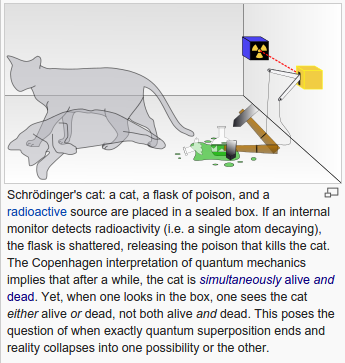 Schrodinger's Cat