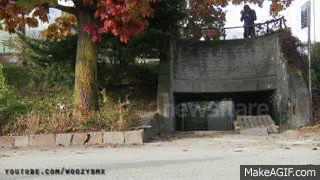 This BMXer is allowed to ride the curved wall because of the interaction of the friction, normal force, and centripetal acceleration.