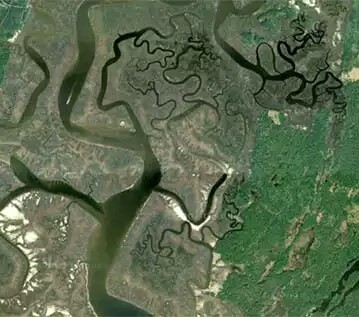 A river's path